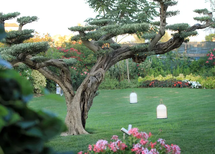 Отель Grand Da Vinci 5*