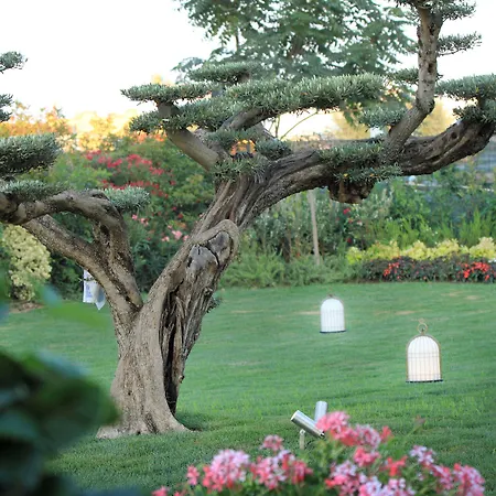 Hotel Grand Da Vinci 5*