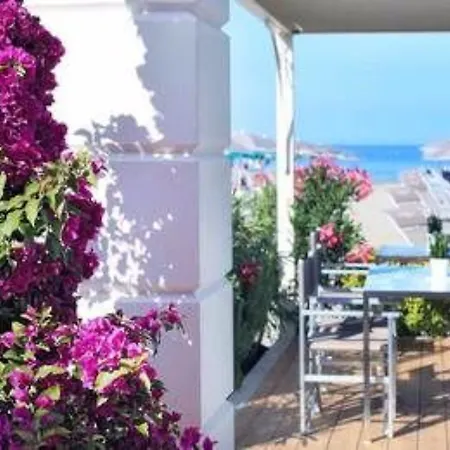 Grand Da Vinci צ'סנטיקו